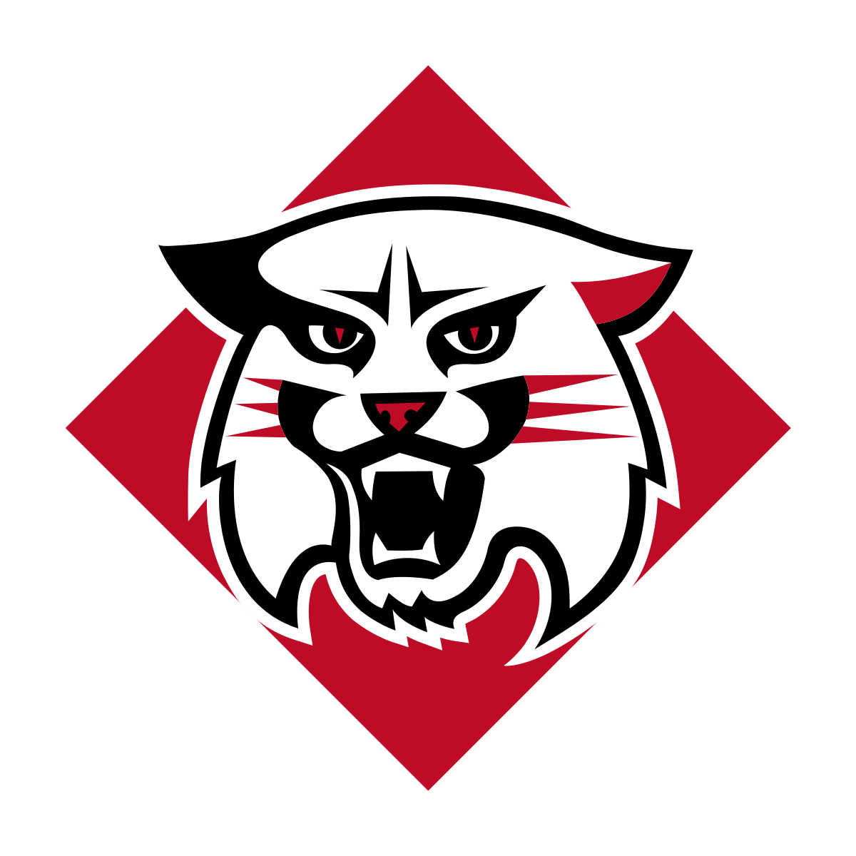 Davidson Athletics