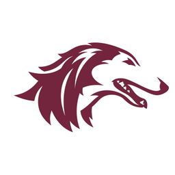 Southern Illinois Athletics