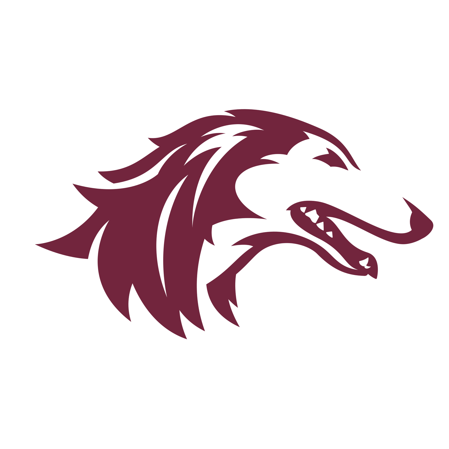 Southern Illinois Athletics